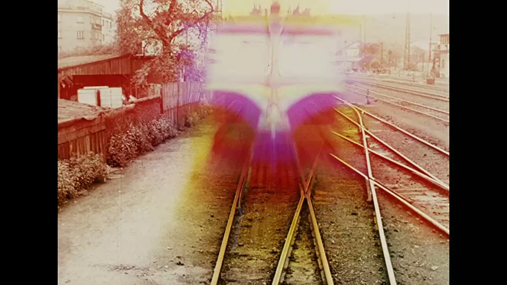 ひなぎくの画像