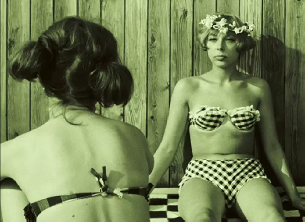 ひなぎくの画像