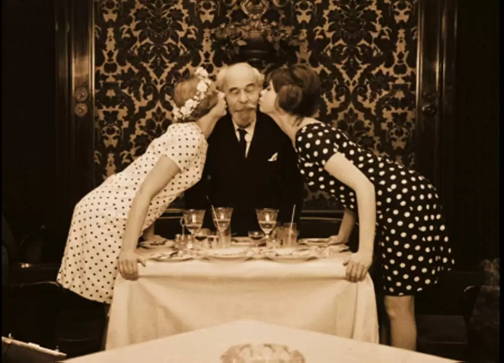 「ひなぎく」Jitka Cerhová & Ivana Karbanováの画像