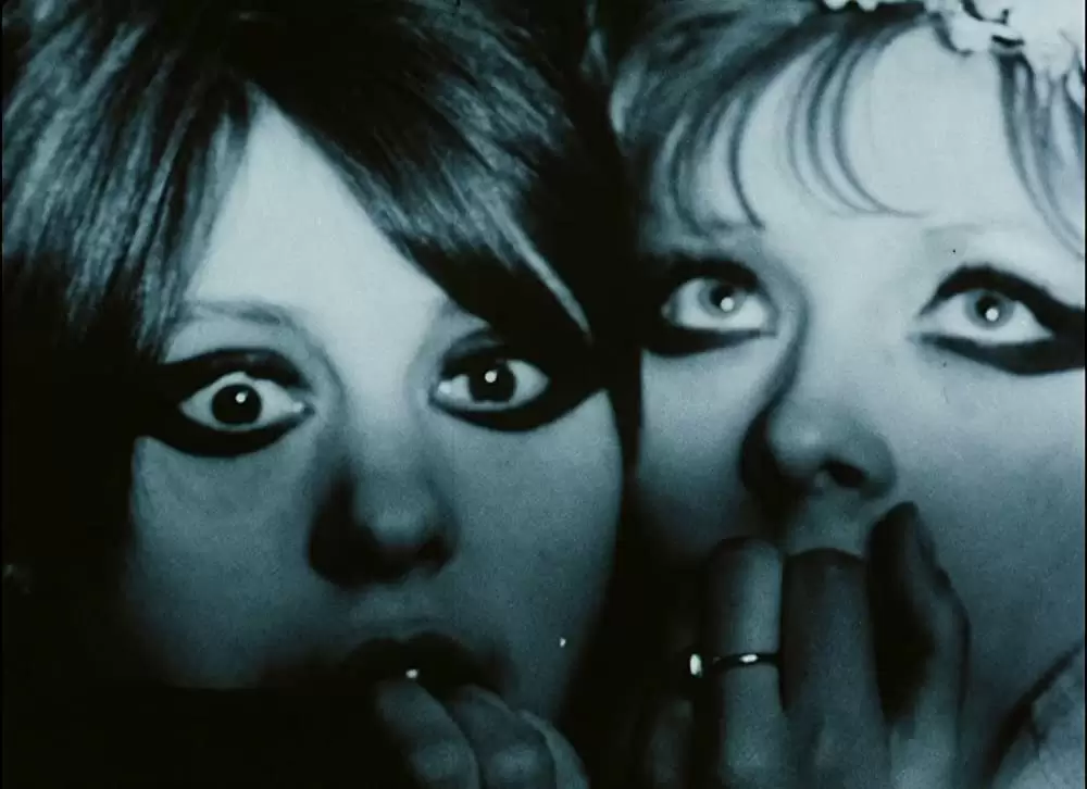 「ひなぎく」Jitka Cerhová & Ivana Karbanováの画像