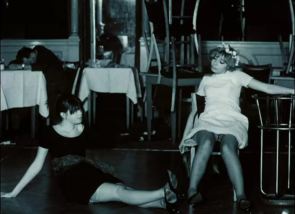 「ひなぎく」Jitka Cerhová & Ivana Karbanováの画像