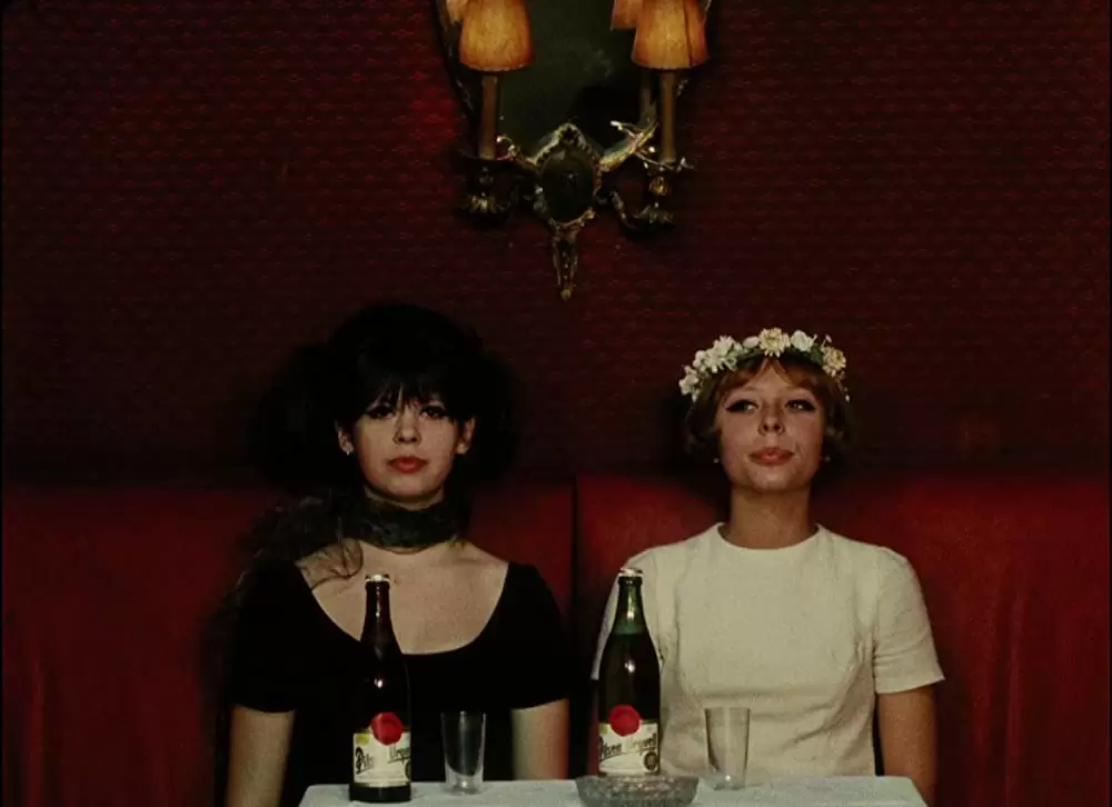 「ひなぎく」Jitka Cerhová & Ivana Karbanováの画像