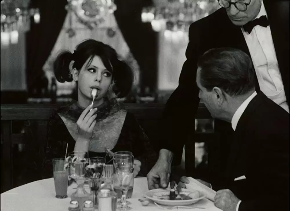 「ひなぎく」Jitka Cerhováの画像