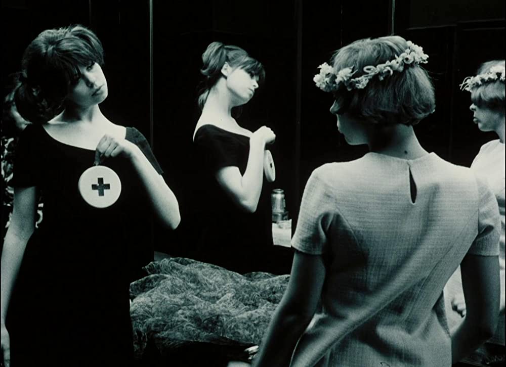 ひなぎくの画像