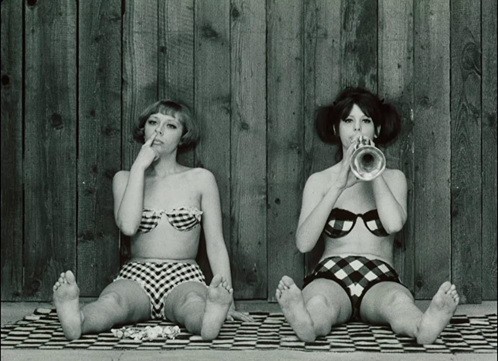 ひなぎくの画像