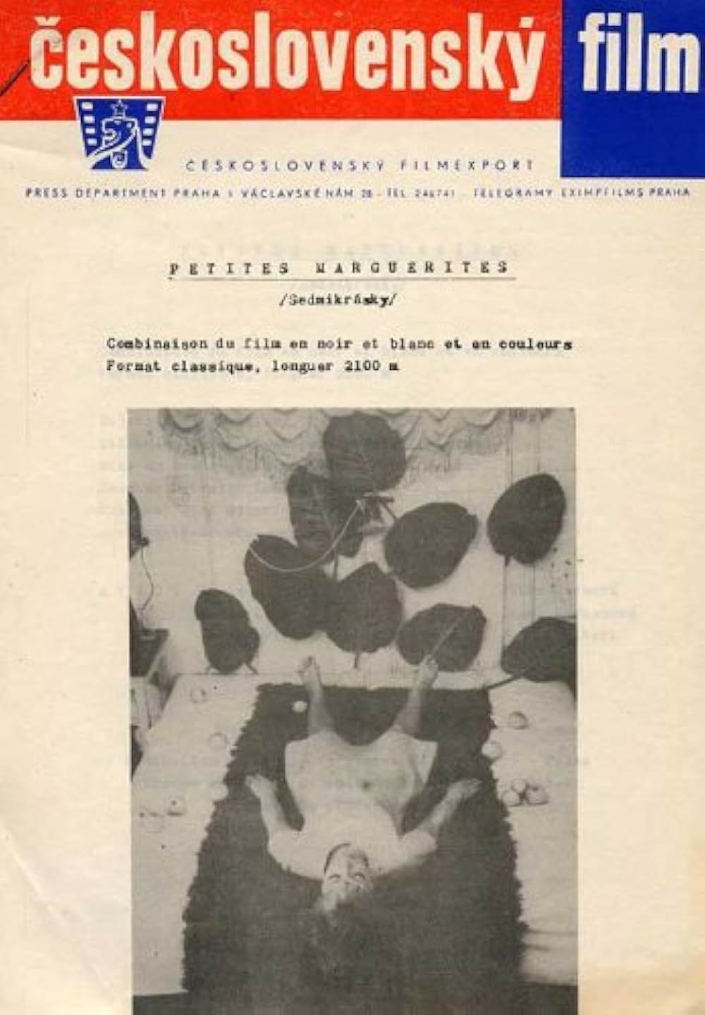 ひなぎくの画像