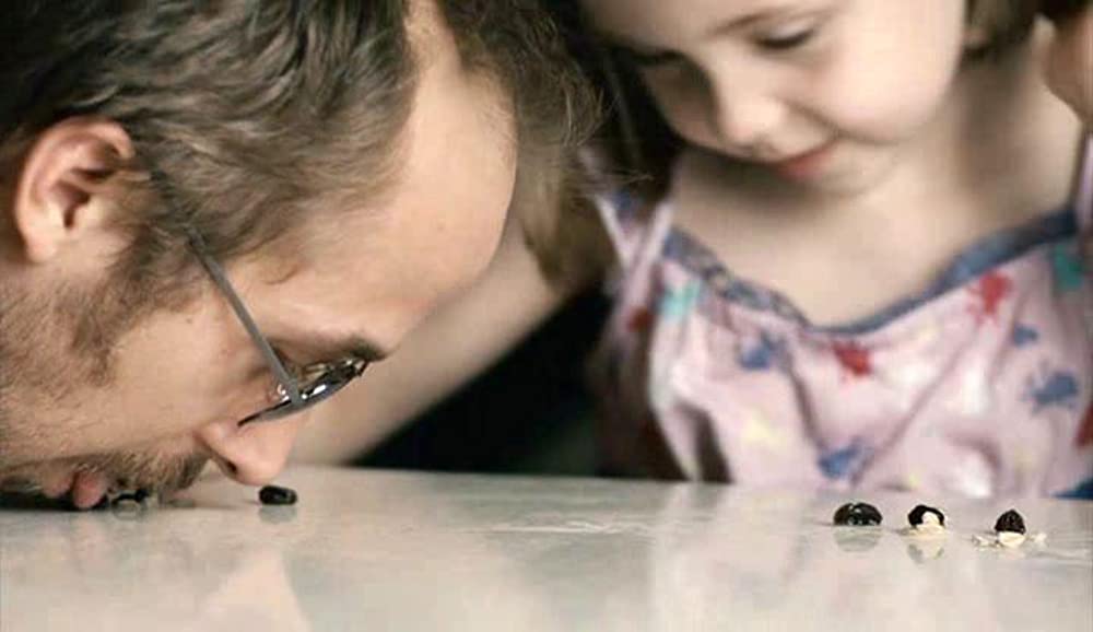 ブルーバレンタインの画像