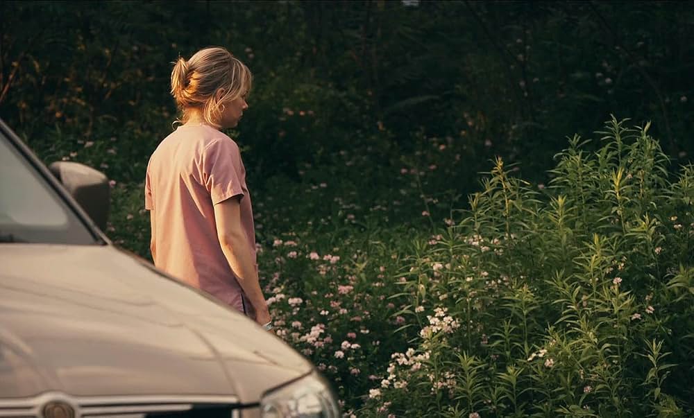 ブルーバレンタインの画像