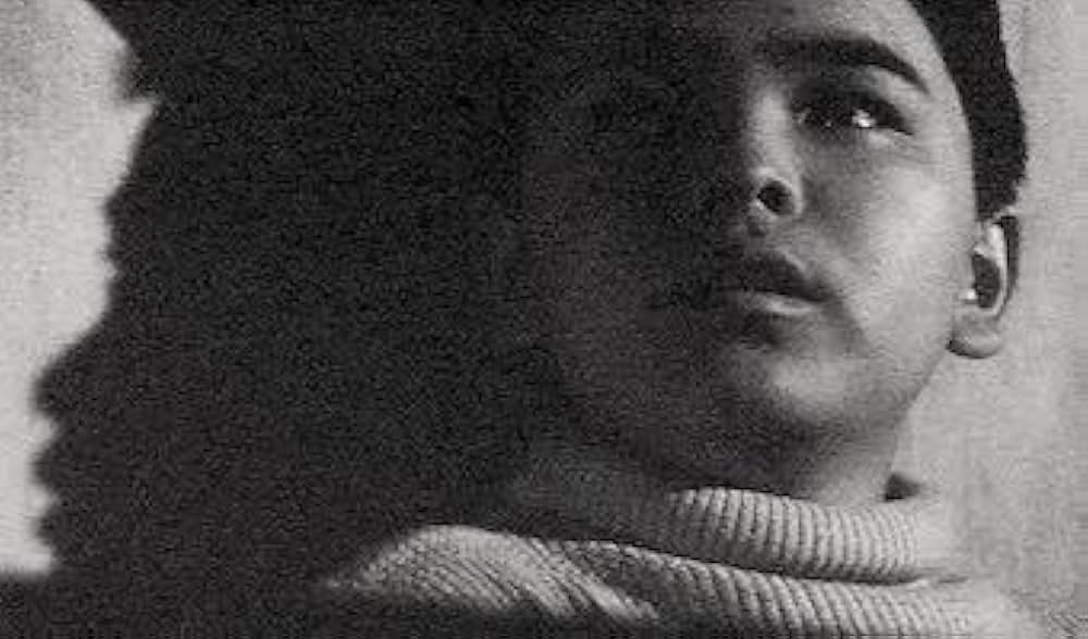 大怪獣ガメラの画像