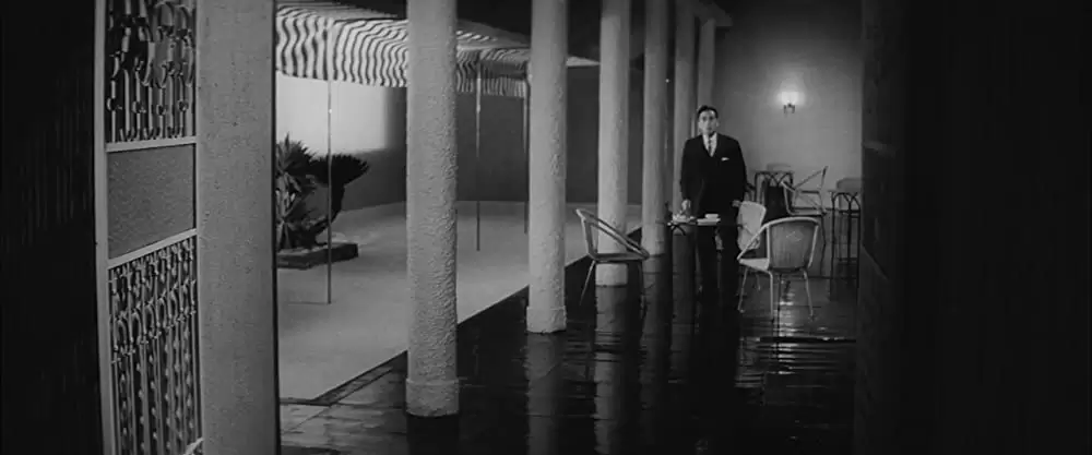 からみ合いの画像