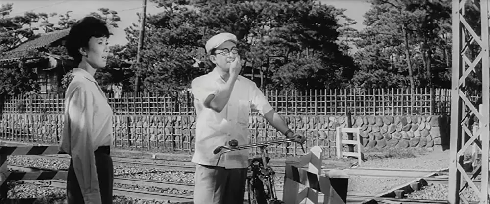 「からみ合い」岸惠子 & 佐藤慶の画像