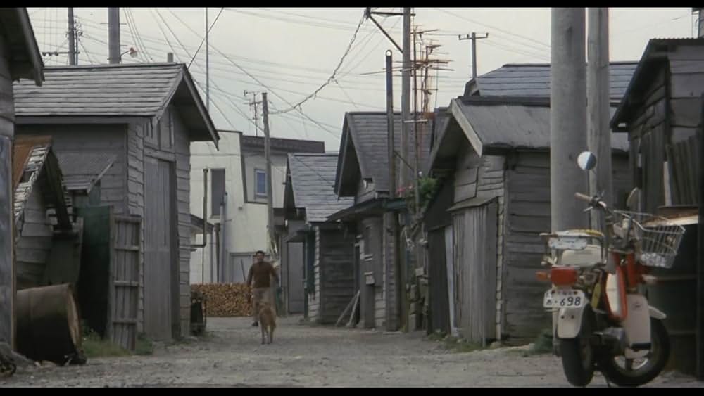 魚影の群れの画像