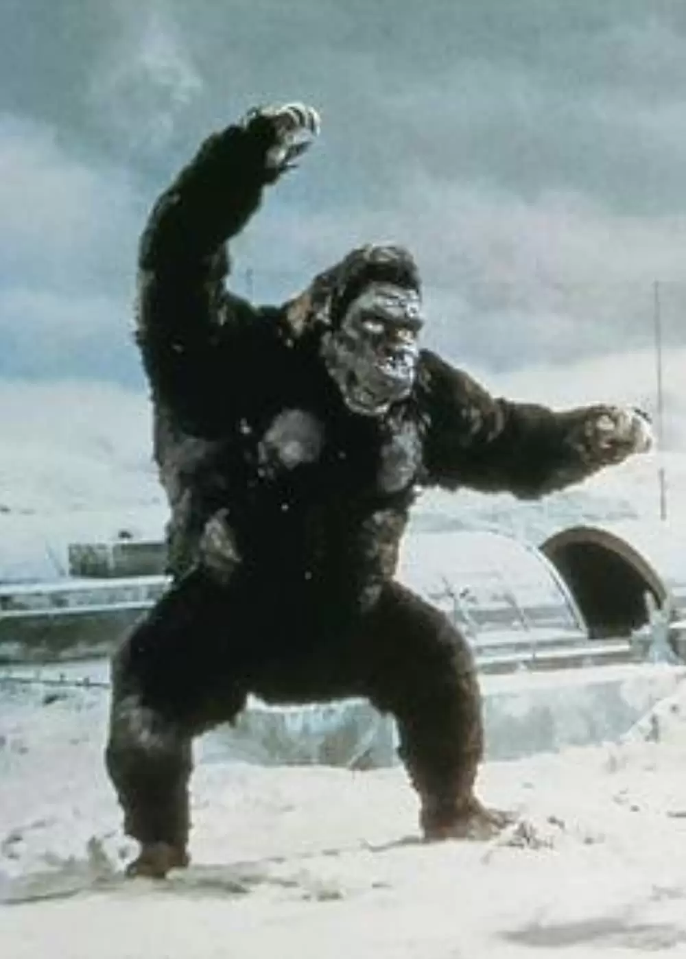 キングコングの逆襲の画像