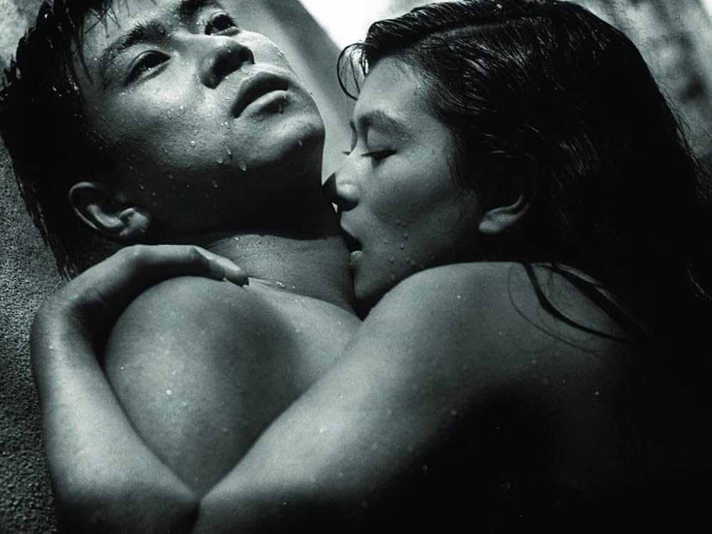 狂った果実の画像