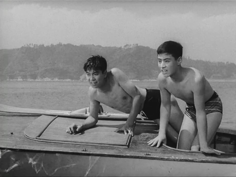 狂った果実の画像