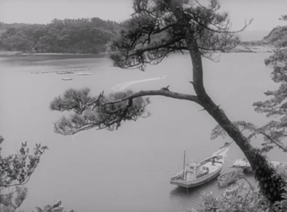 狂った果実の画像