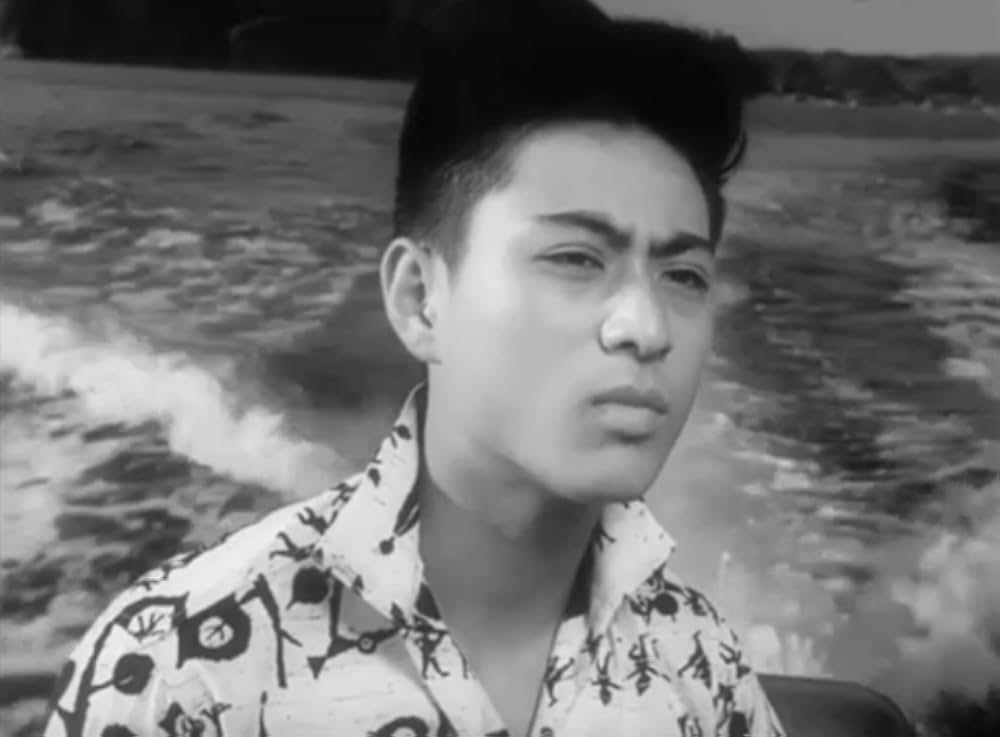 狂った果実の画像