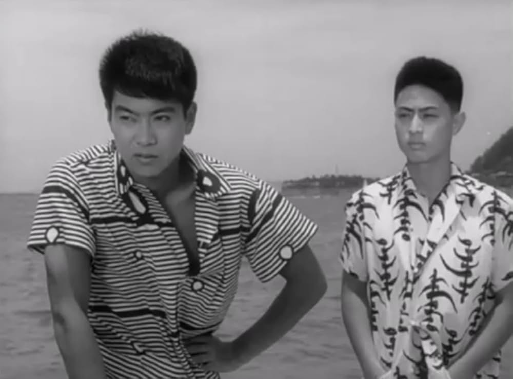 狂った果実の画像