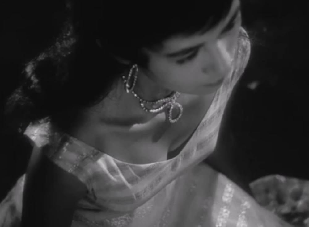 狂った果実の画像