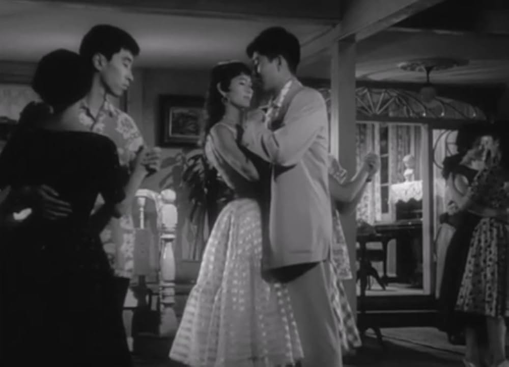 狂った果実の画像