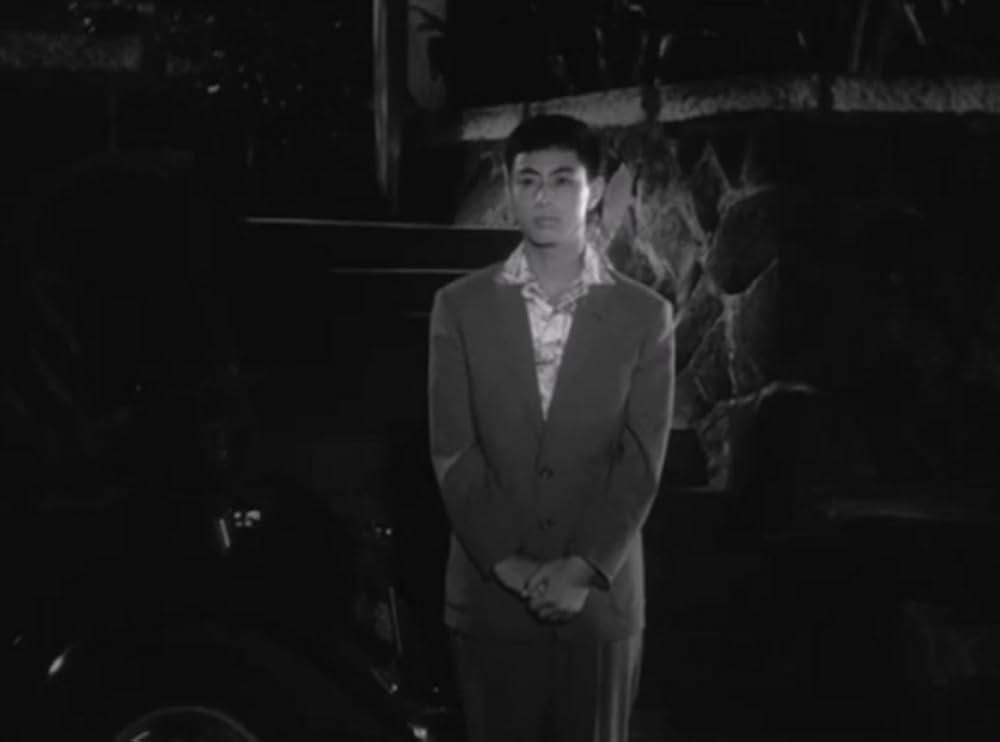 狂った果実の画像