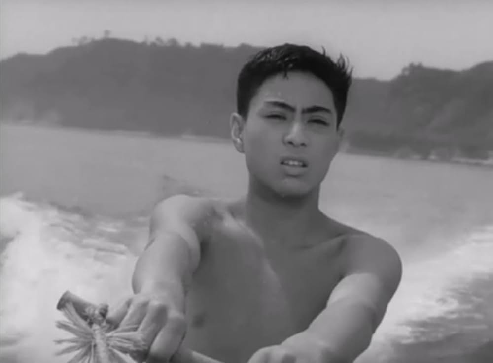 狂った果実の画像