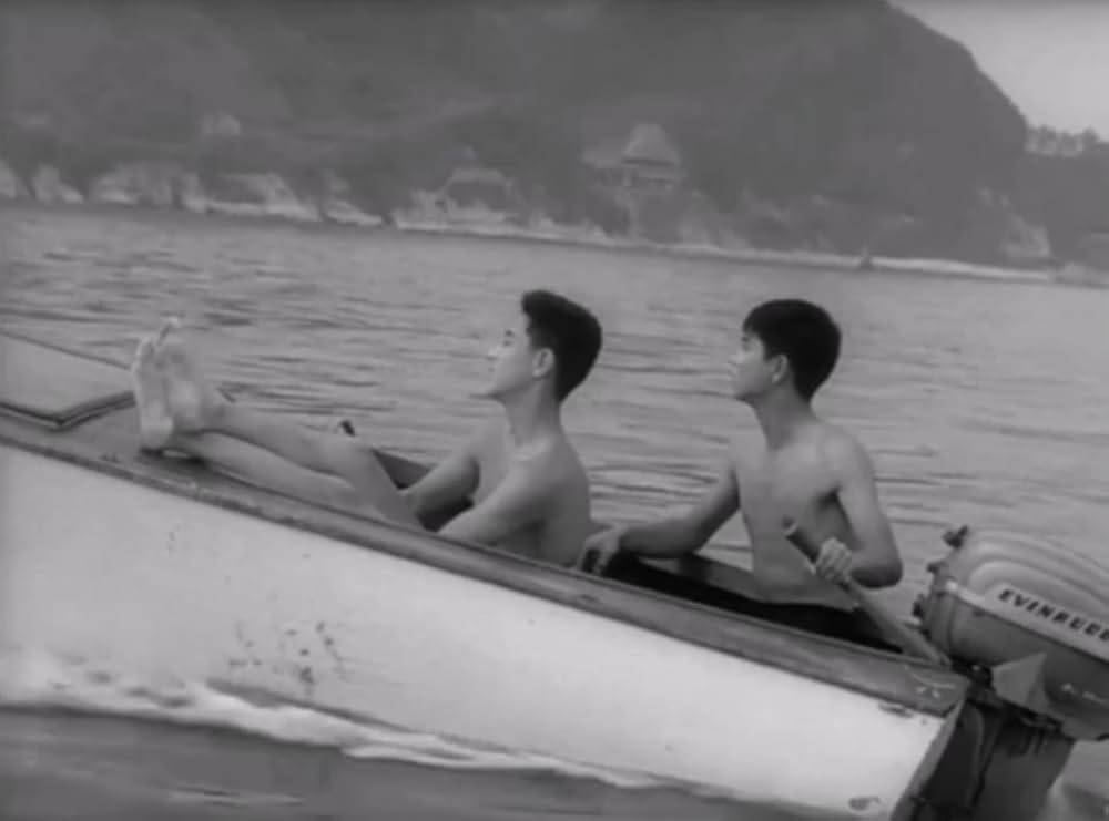 狂った果実の画像