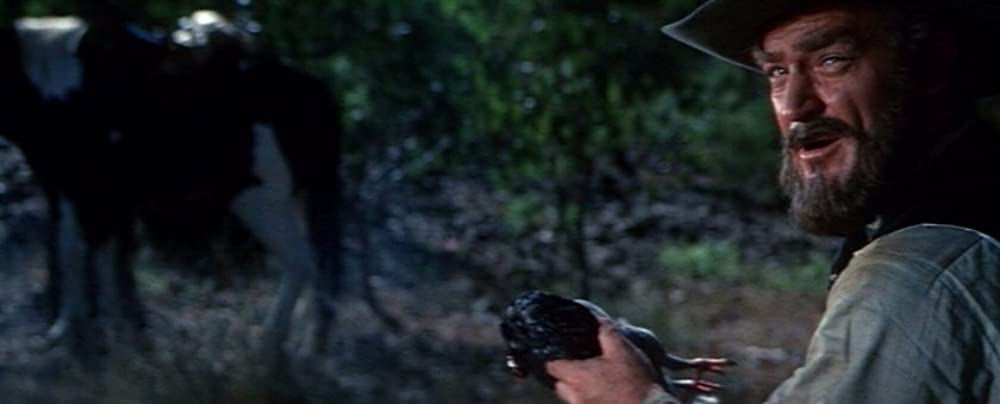 荒野の渡世人の画像