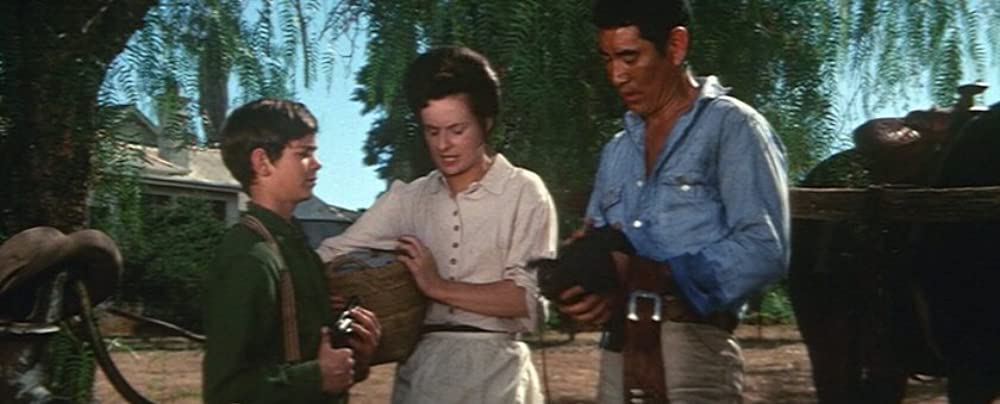 荒野の渡世人の画像