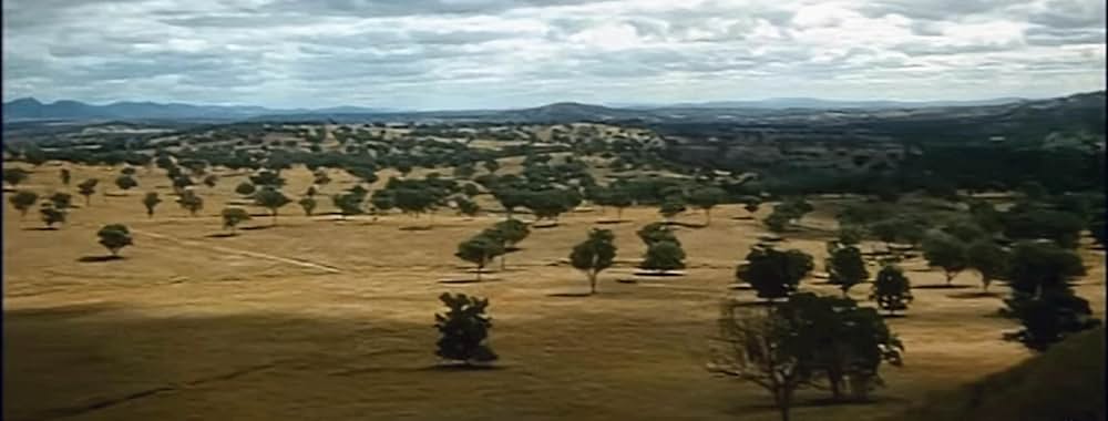 荒野の渡世人の画像