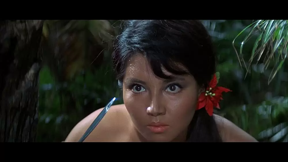 「ゴジラ・エビラ・モスラ 南海の大決闘」水野久美の画像