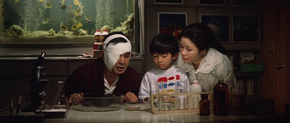 ゴジラ対ヘドラの画像