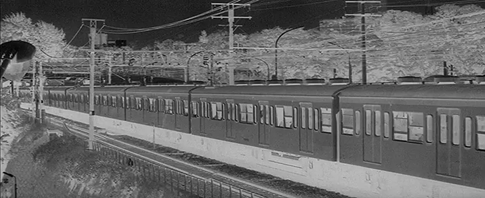 殺しの烙印の画像