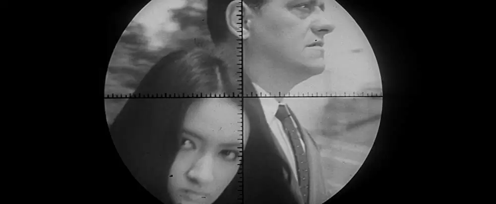 「殺しの烙印」ワサンティデヴィ・シェスの画像