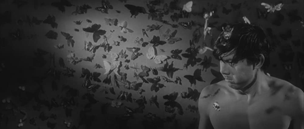 殺しの烙印の画像