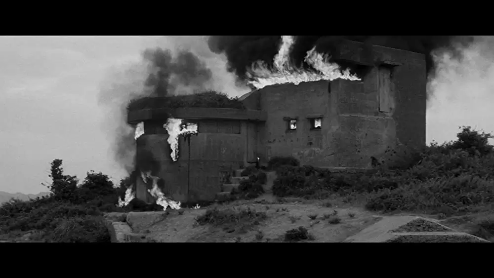 殺しの烙印の画像