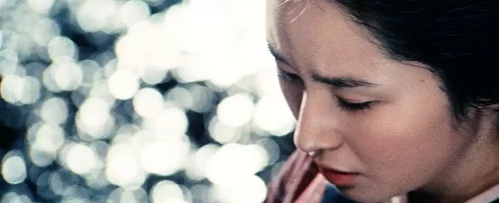 座頭市御用旅の画像