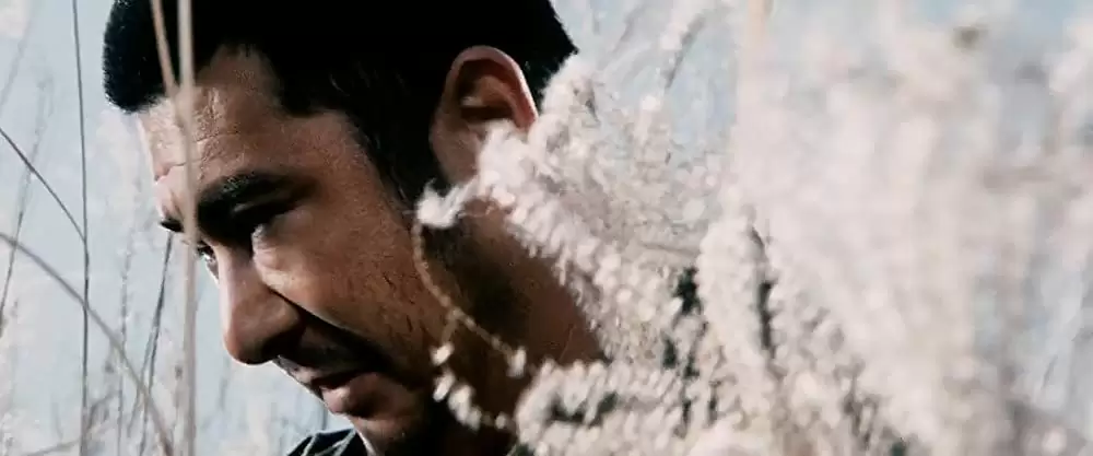 「座頭市御用旅」勝新太郎の画像