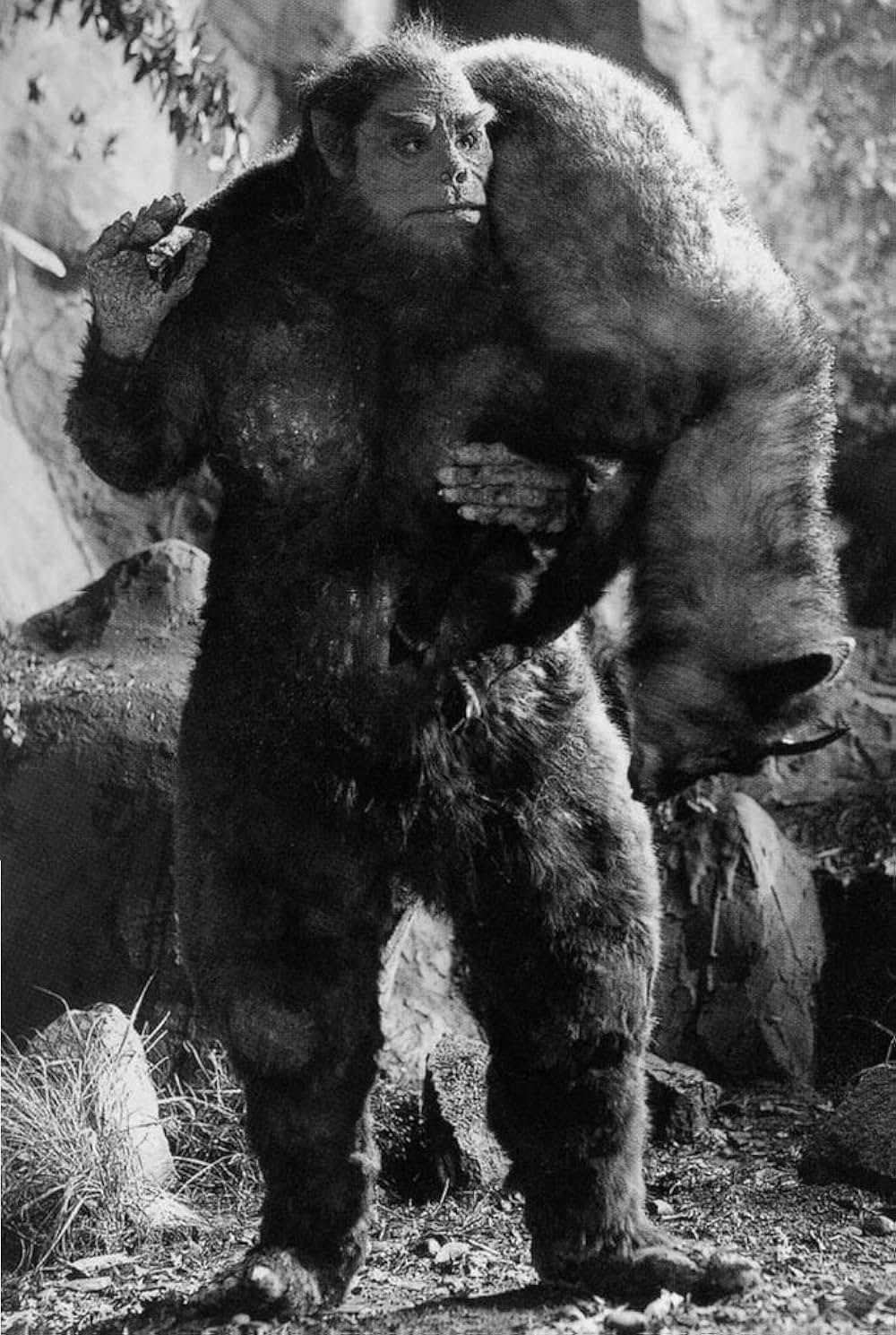 獣人雪男の画像