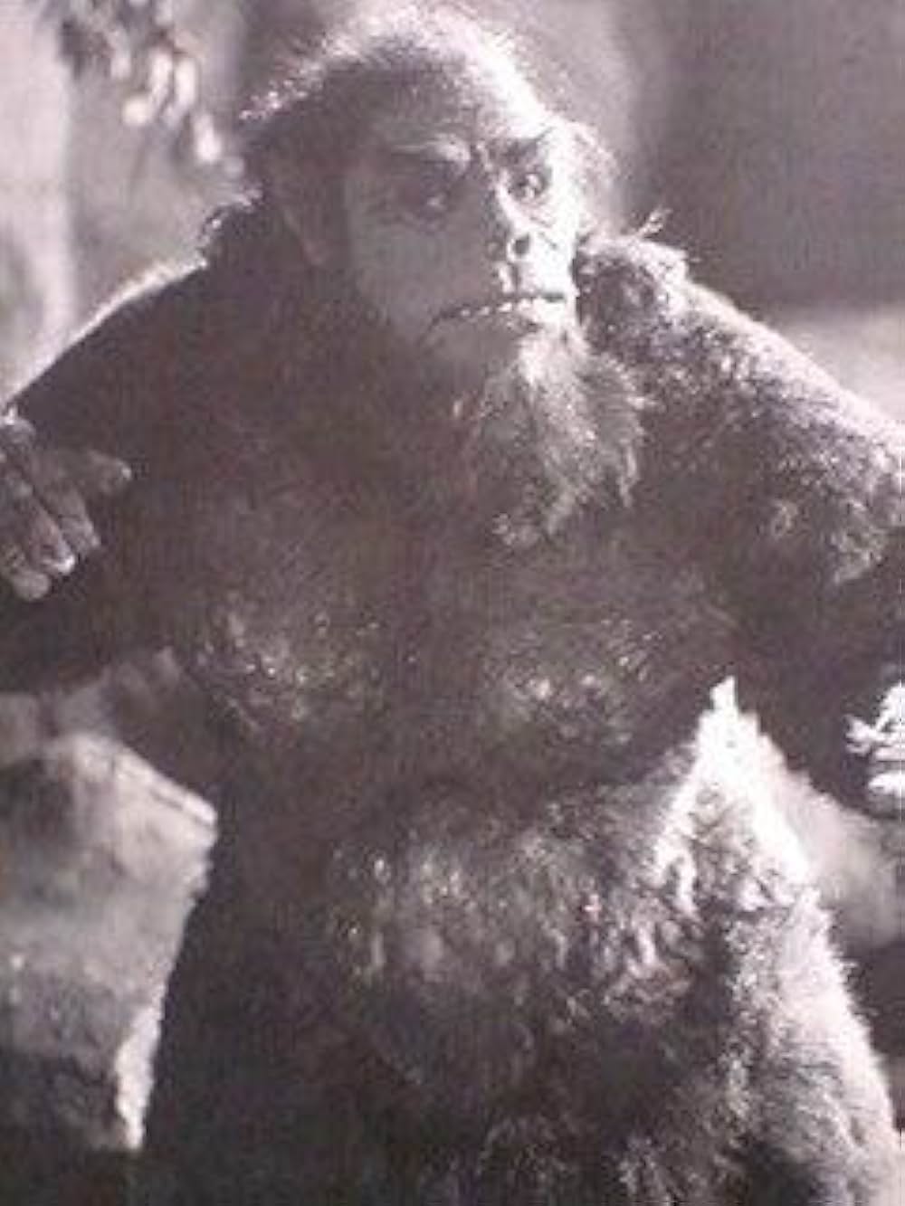 獣人雪男の画像