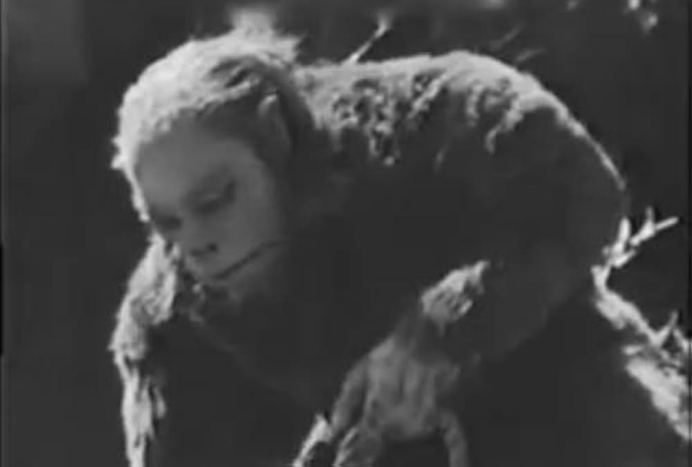 獣人雪男の画像