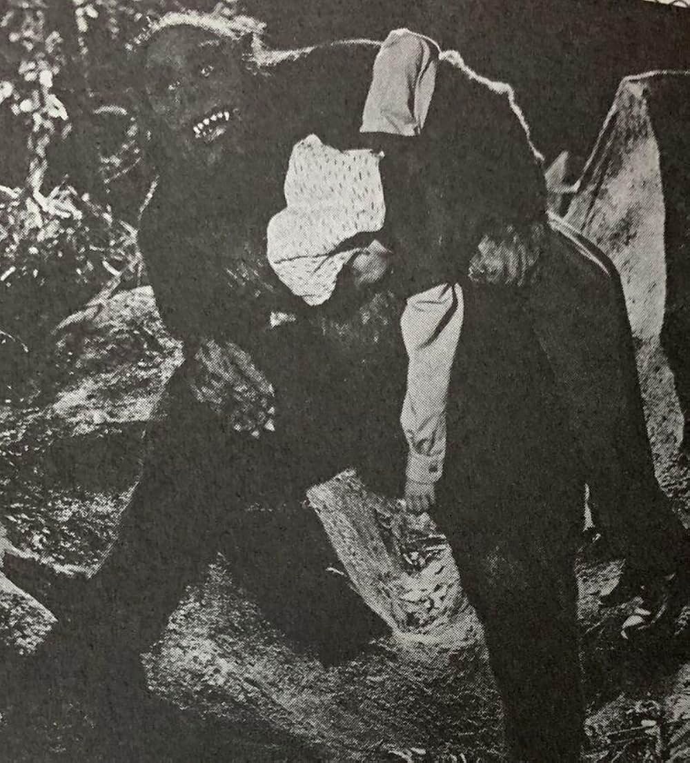 獣人雪男の画像