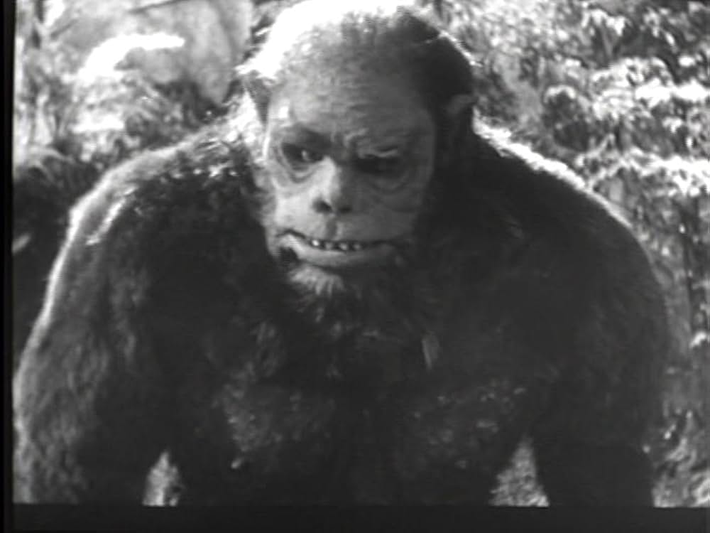 獣人雪男の画像