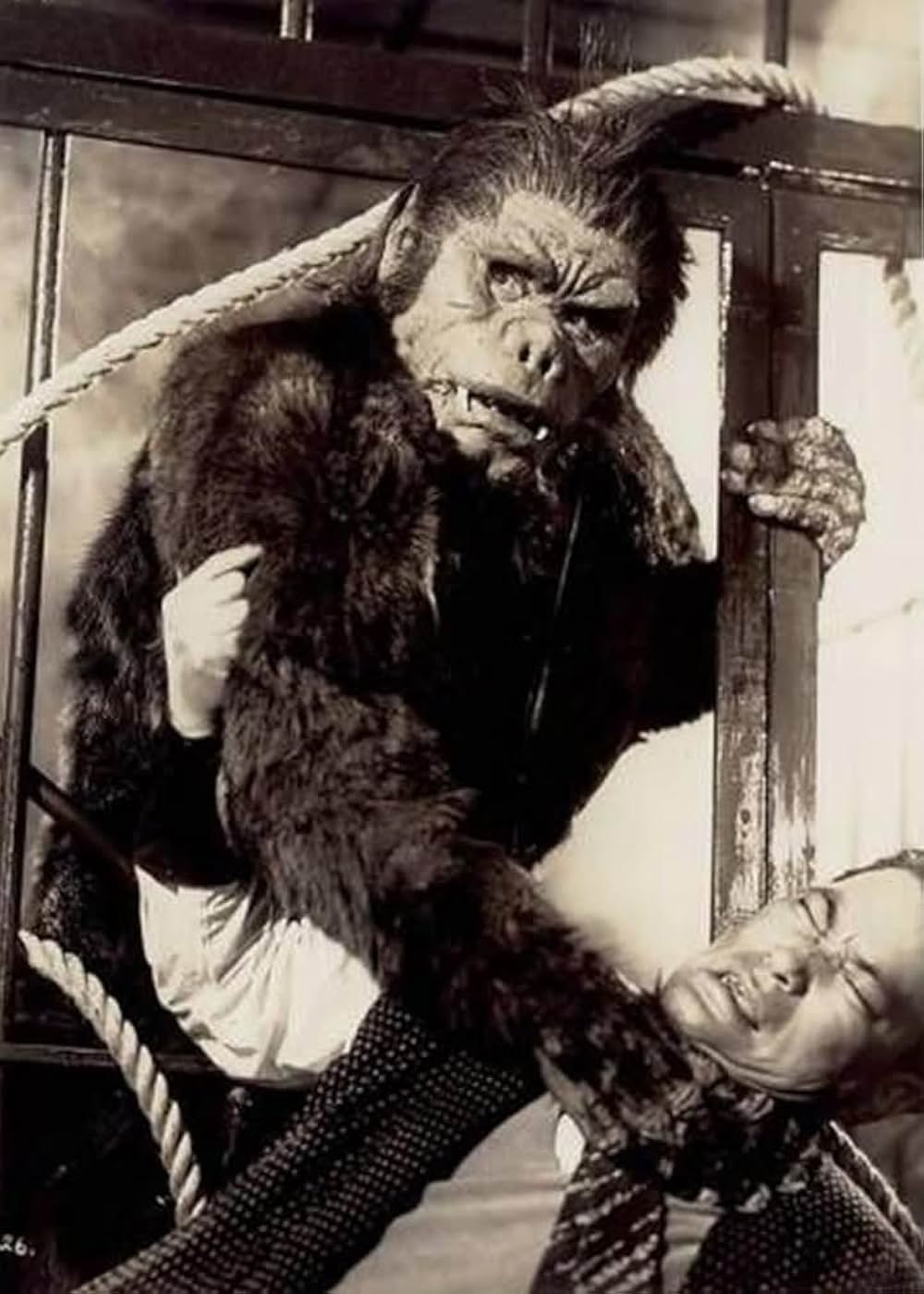 獣人雪男の画像