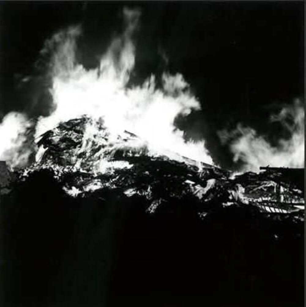 獣人雪男の画像