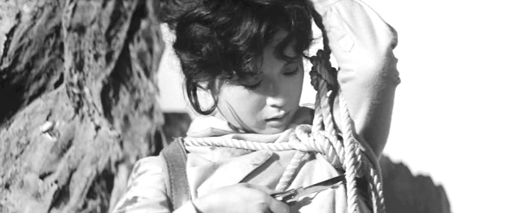 妻は告白するの画像