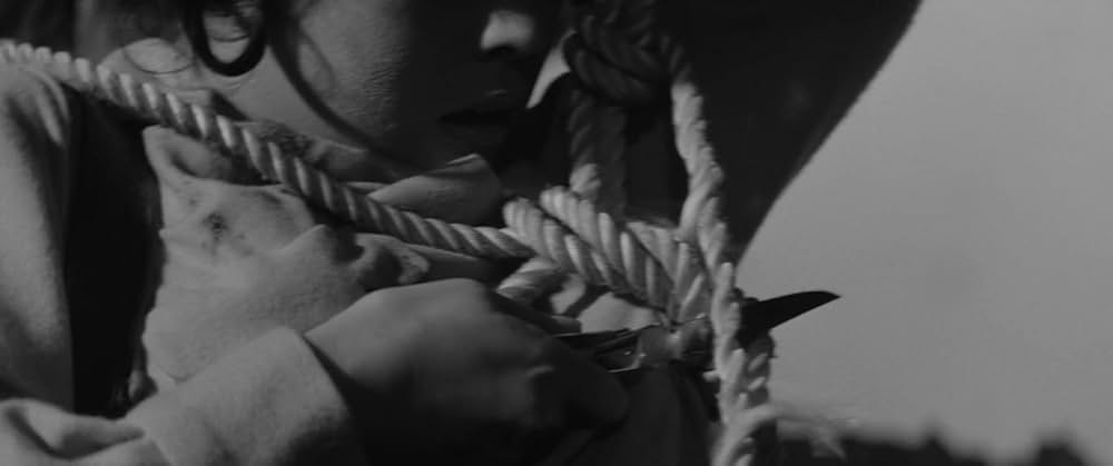 妻は告白するの画像