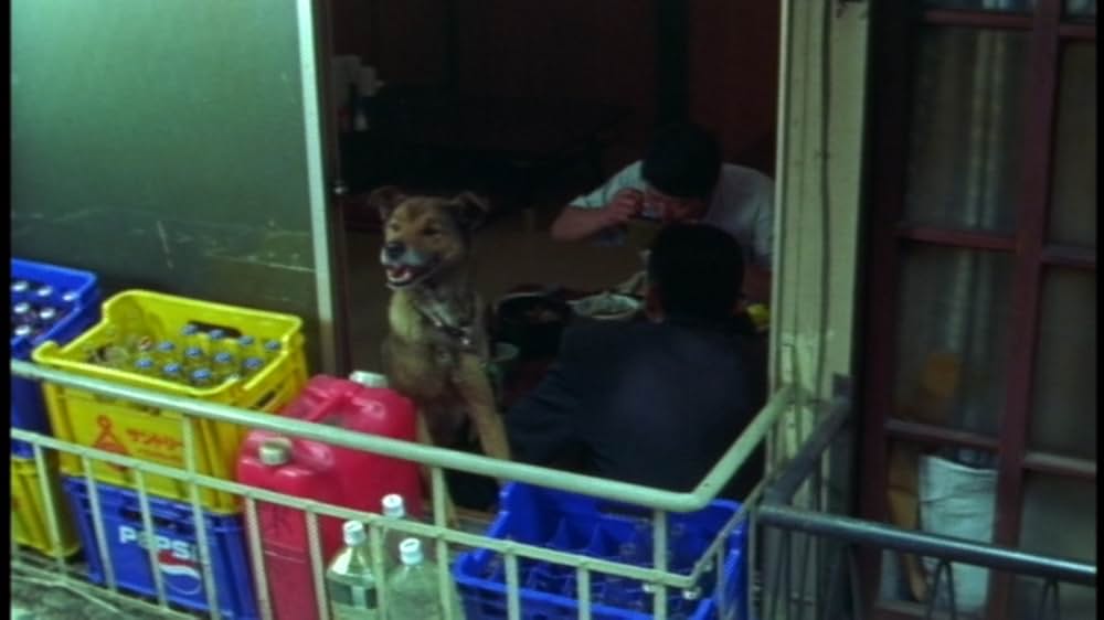 DEAD OR ALIVE 犯罪者の画像