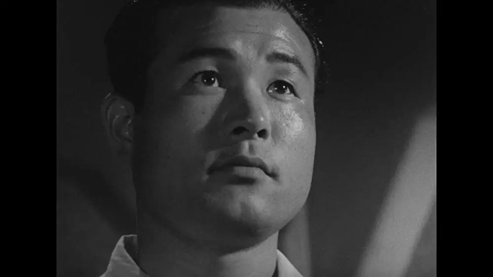 透明人間と蠅男の画像