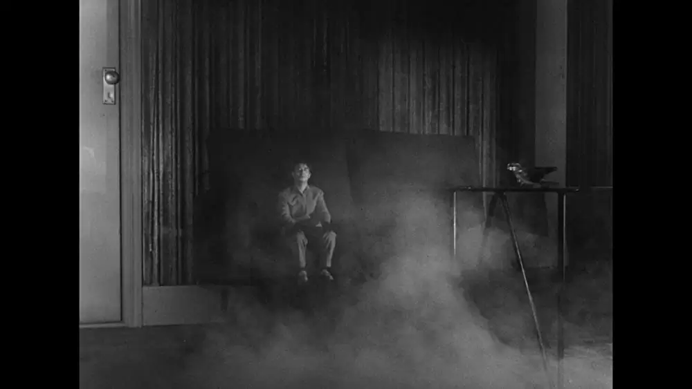 透明人間と蠅男の画像